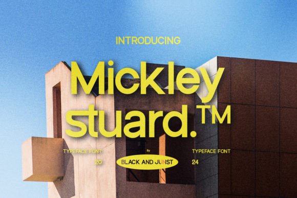 Mickley Stuard Font Review for Handmade Branding