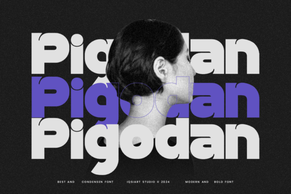 Pigodan Font: Stylish Sans Serif for Handmade Products