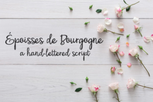 PN Époisses De Bourgogne Font for Web Design