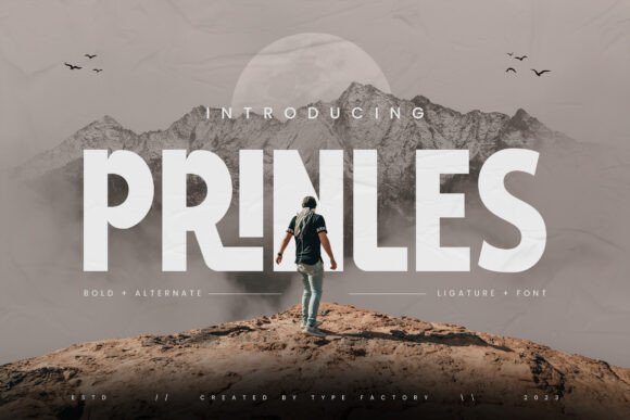 Prinles Font: Bold Sans Serif for Impactful Campaigns