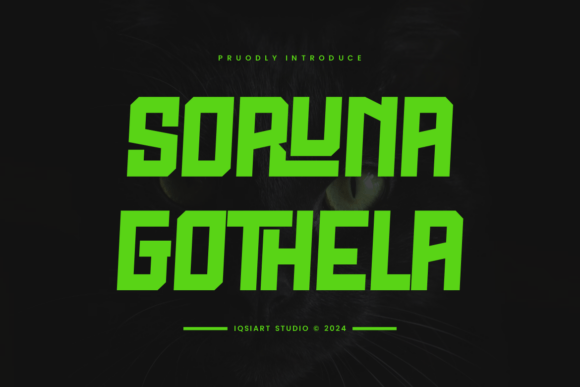 Soruna Gothela: Bold Sans Serif Font Review