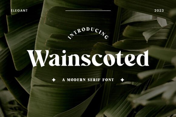 Wainscoted: A Charming and Elegant Sans Serif Font